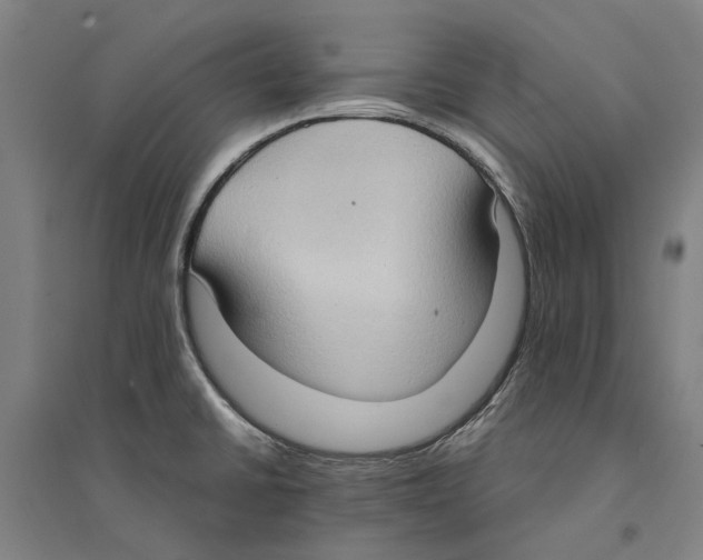 X0000094371430200711301438