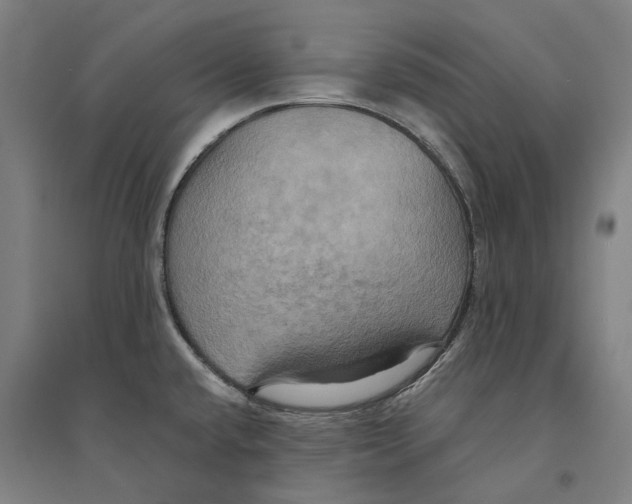 X0000094371432200711301438