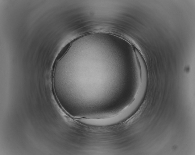 X0000094371434200711301438