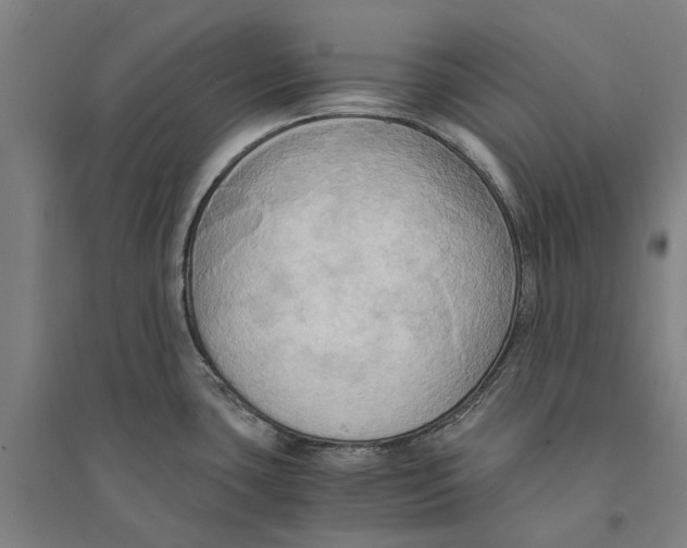 X0000094371435200711301438