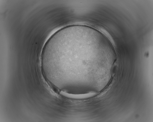 X0000094371436200711301438