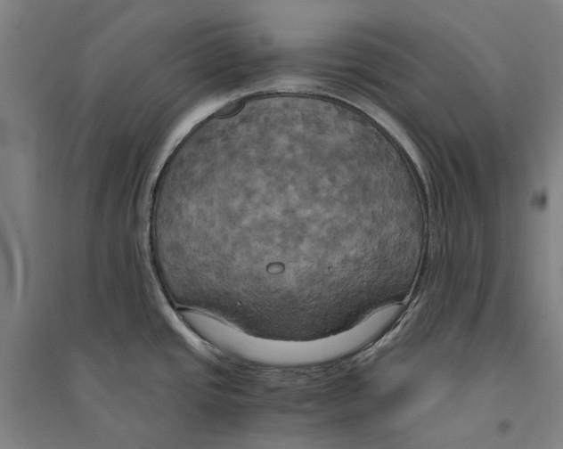 X0000094371437200711301438