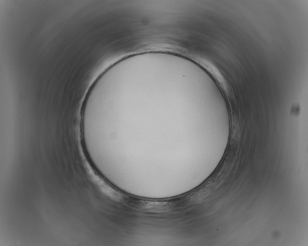 X0000094371439200711301438