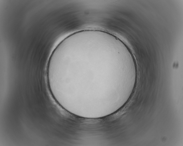 X0000094371440200711301438