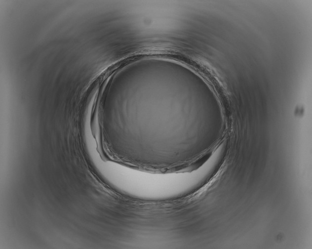 X0000094371449200711301437