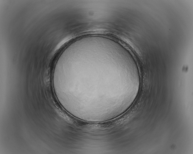 X0000094371450200711301437