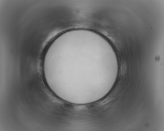 X0000094371454200711301437