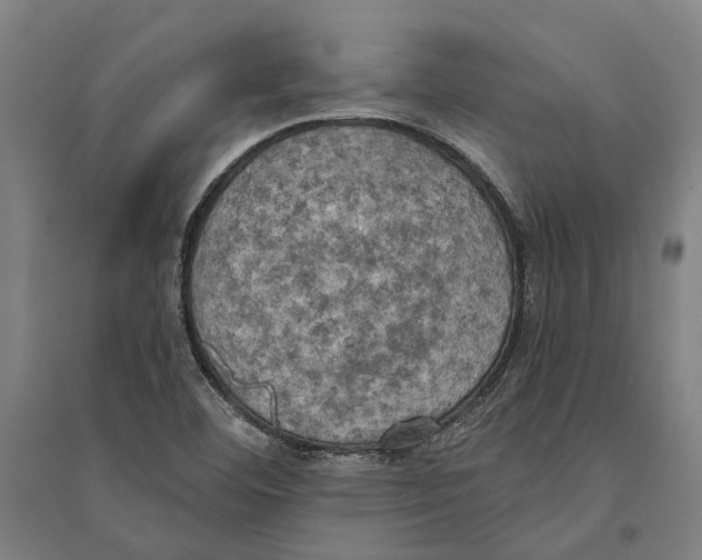 X0000094371460200711301437