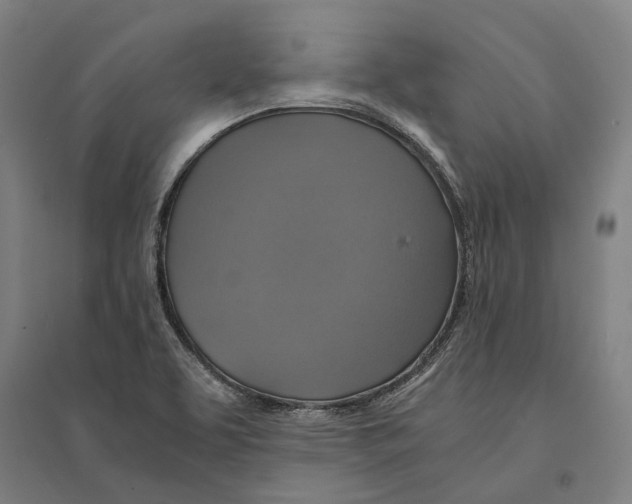 X0000094371463200711301437