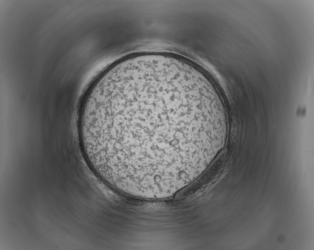 X0000094371464200711301437