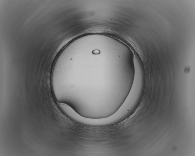 X0000094371465200711301437