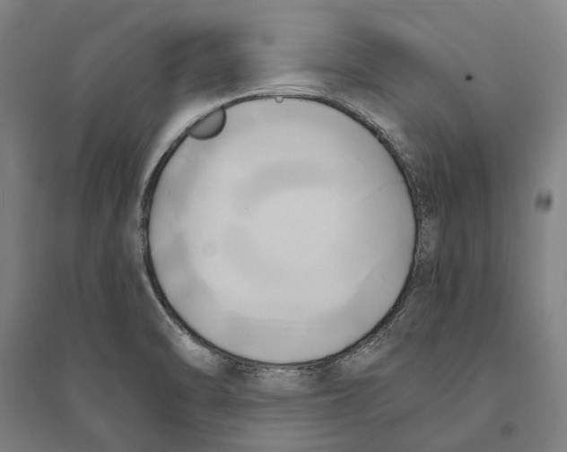 X0000094371470200711301437