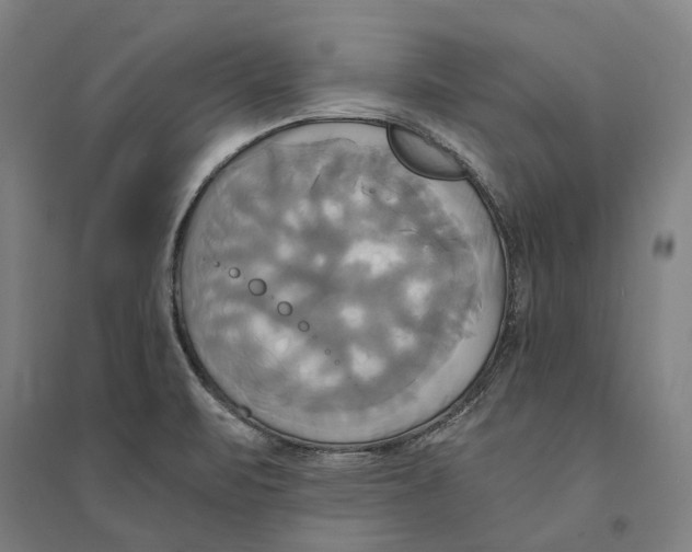 X0000094371471200711301437