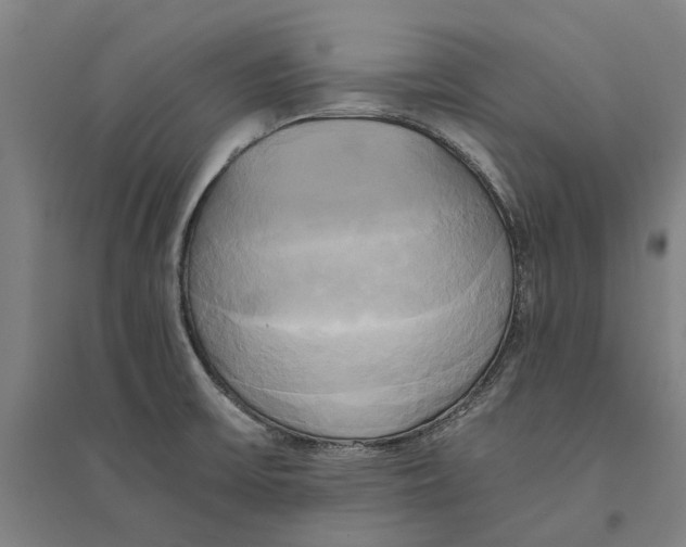 X0000094371475200711301437