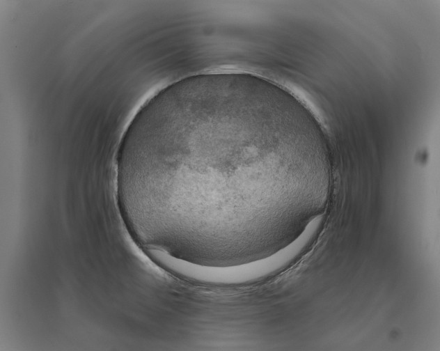 X0000094371476200711301437