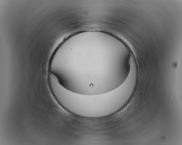 X0000094371477200711301437