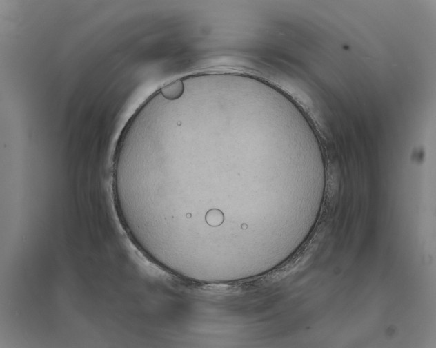 X0000094371478200711301437