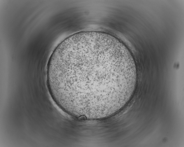 X0000094371479200711301437