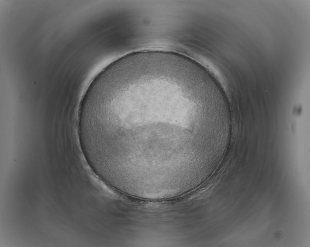 X0000094371480200711301437