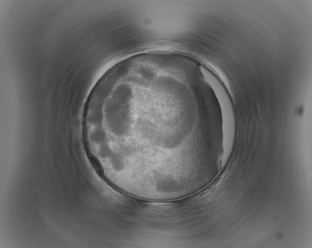 X0000094371483200711301437