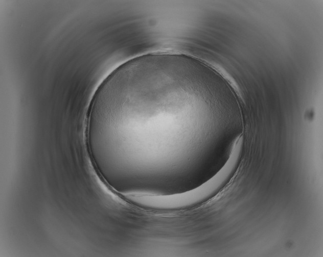 X0000094371484200711301437