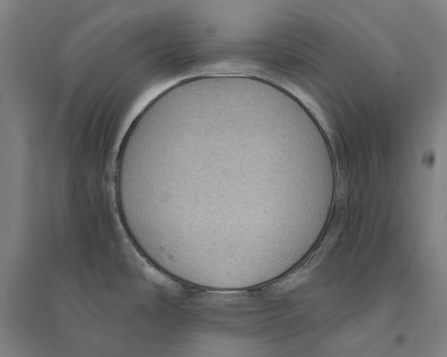 X0000094371486200711301437