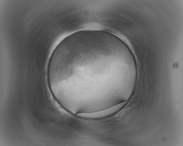 X0000094371488200711301437