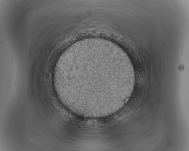 X0000094371489200711301436