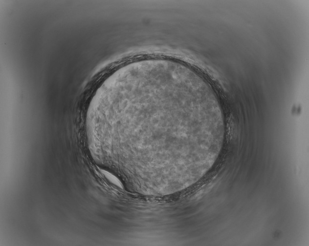 X0000094371494200711301436