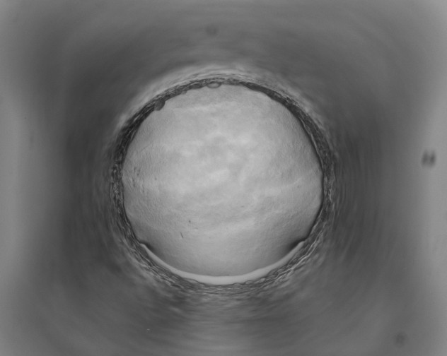 X0000094371496200711301436