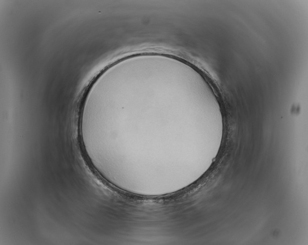 X0000094371504200711301436