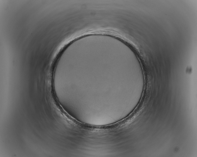 X0000094371506200711301436