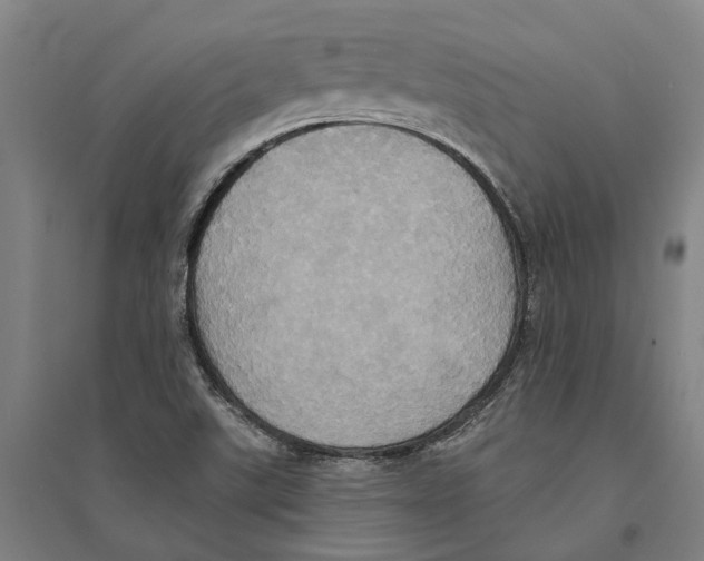 X0000094371507200711301436