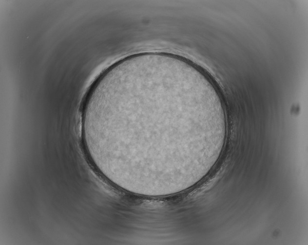 X0000094371509200711301436