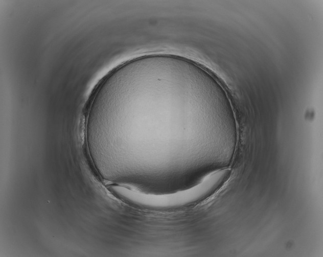 X0000094371510200711301436