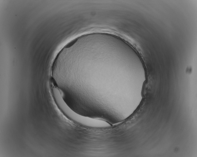 X0000094371520200711301436