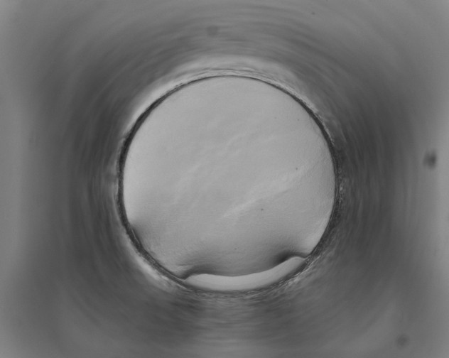 X0000094371523200711301436