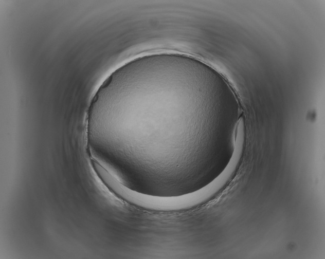 X0000094371524200711301436