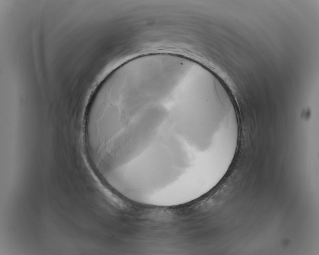 X0000094371525200711301436