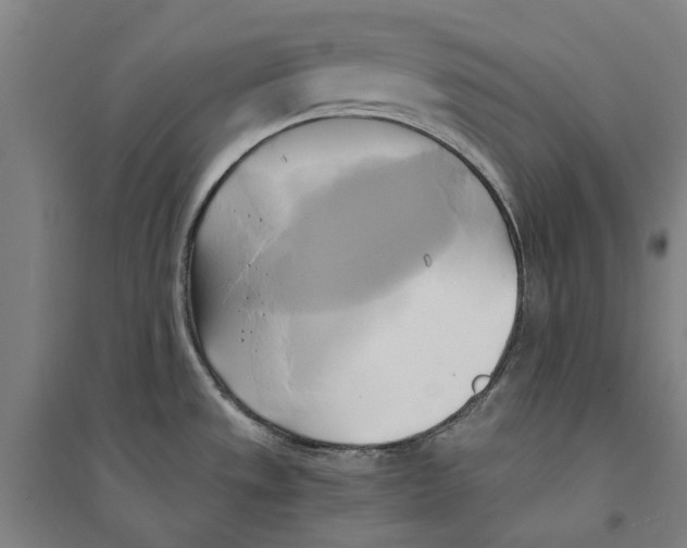 X0000094371533200711301437