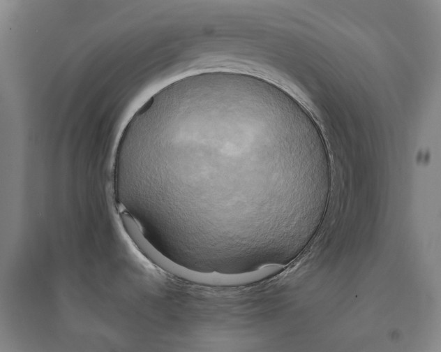 X0000094371536200711301437