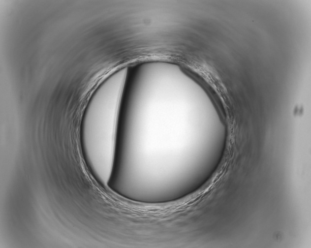 X0000094380001200711020836