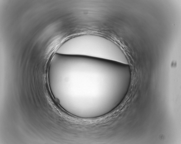X0000094380002200711020836