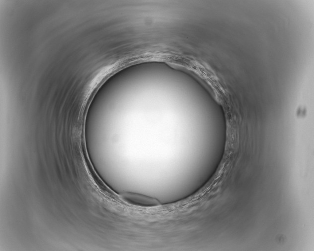 X0000094380003200711020836