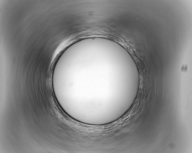 X0000094380004200711020836