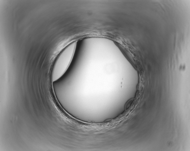 X0000094380005200711020835