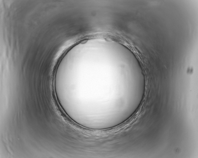 X0000094380006200711020835