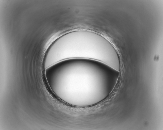X0000094380007200711020835