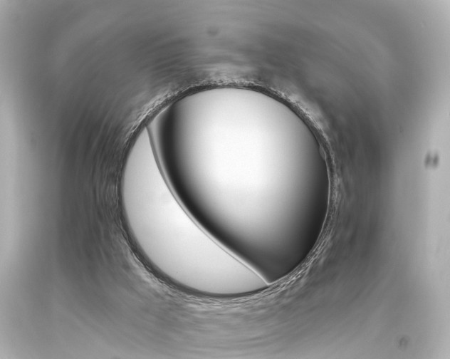 X0000094380009200711020835