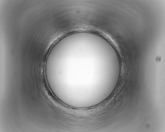 X0000094380010200711020835